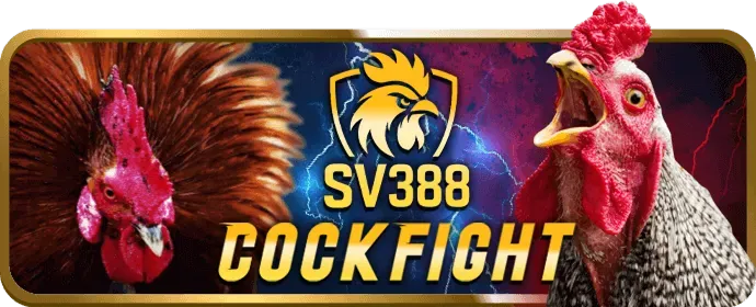 Chính sách bảo mật dữ liệu người dùng kingbet86pro chính thức